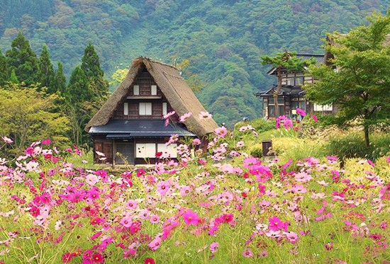 度假风景素材图片